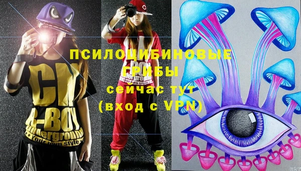 прущий лед Аркадак