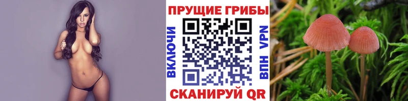 Псилоцибиновые грибы GOLDEN TEACHER  blacksprut онион  дарк нет клад  Макарьев 